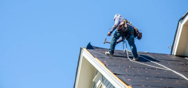 Best Storm Damage Roof Repair  in Kenilworth, NJ